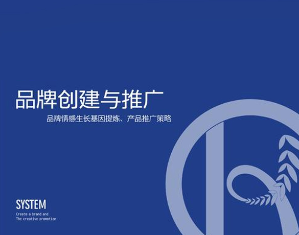 上海网站推广优化公司方案