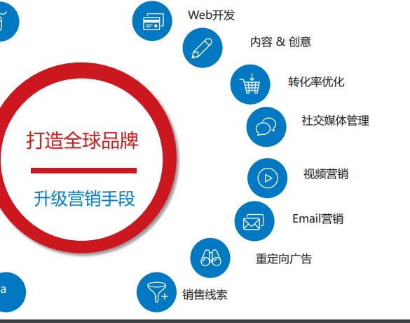 上海wp网站建设开发