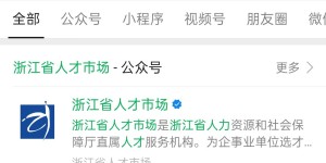 湖州个人档案查询系统官网详解