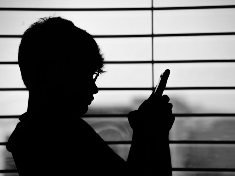 一个人正在用手机查询个人档案