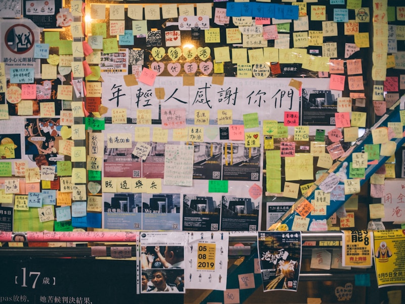 人事个人档案查询流程图