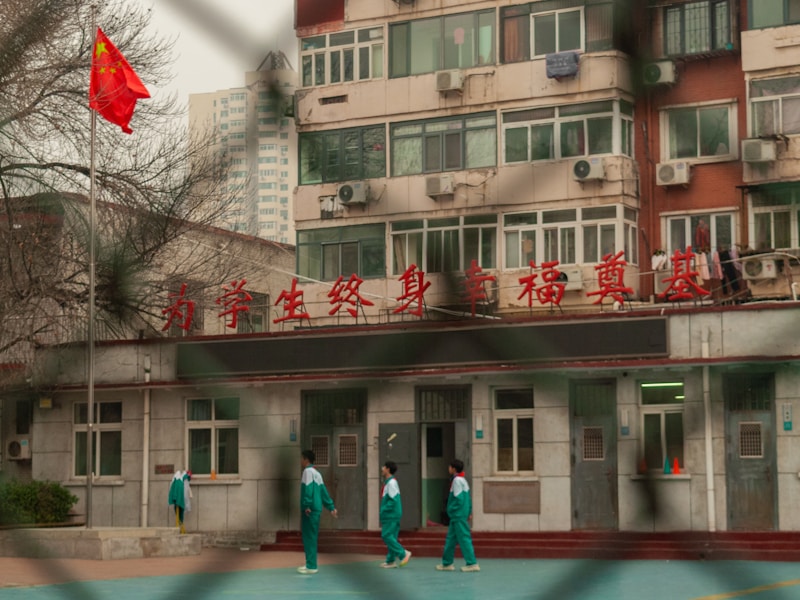 南丰县个人档案查询网操作界面截图