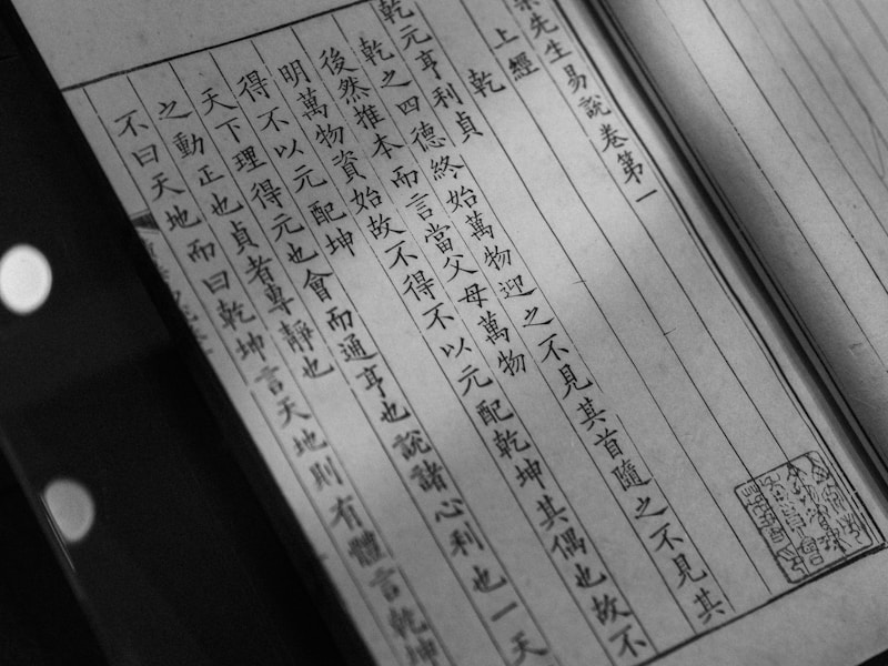 厦门个人档案查询线上操作界面示意图
