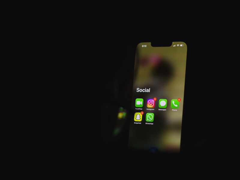 合肥个人档案查询系统手机端界面截图