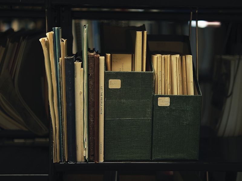 学生个人档案查询界面截图，展示学校门户网站中的Academic Records选项