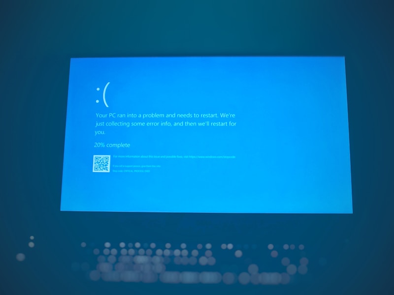 枣庄个人档案查询线上操作界面截图