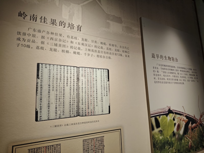 浙江个人档案查询流程示意图