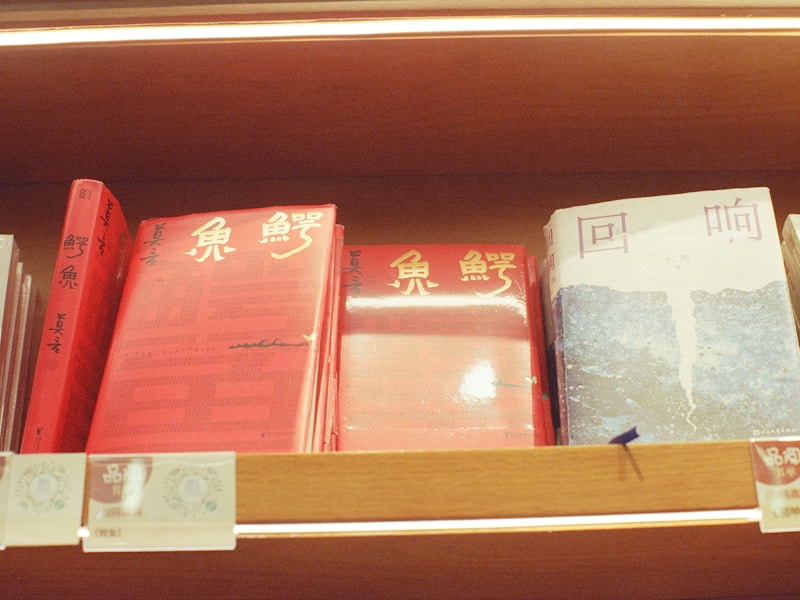 北京档案个人档案查询流程图