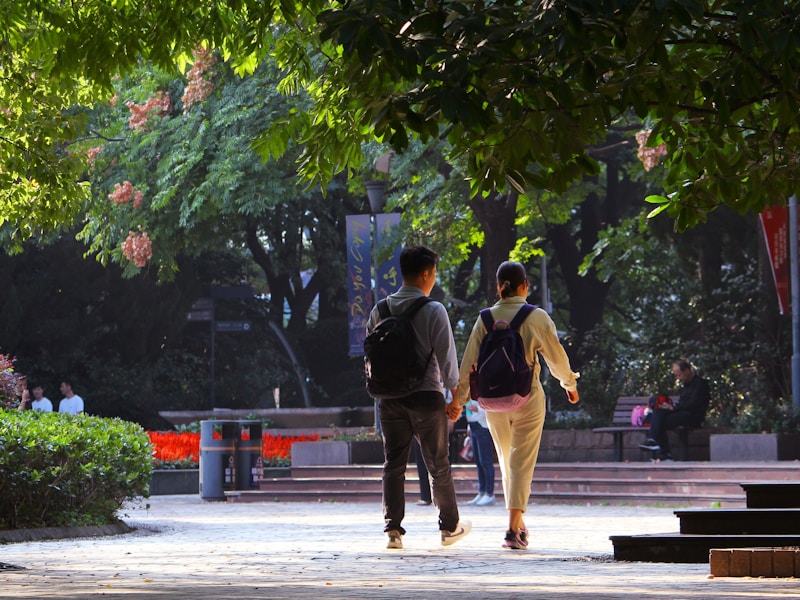 山东学生个人档案查询线上界面截图