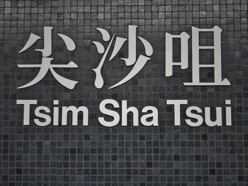 泰安查询个人档案的线上和线下方式示意图