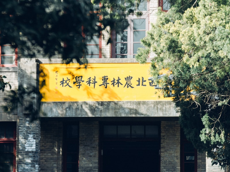 辽宁高考个人档案查询线上步骤截图