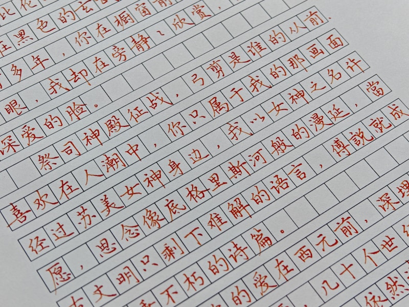 东莞个人档案查询流程示意图