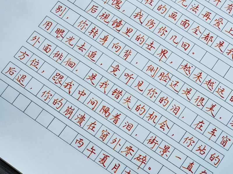 个人档案宁夏查询流程示意图
