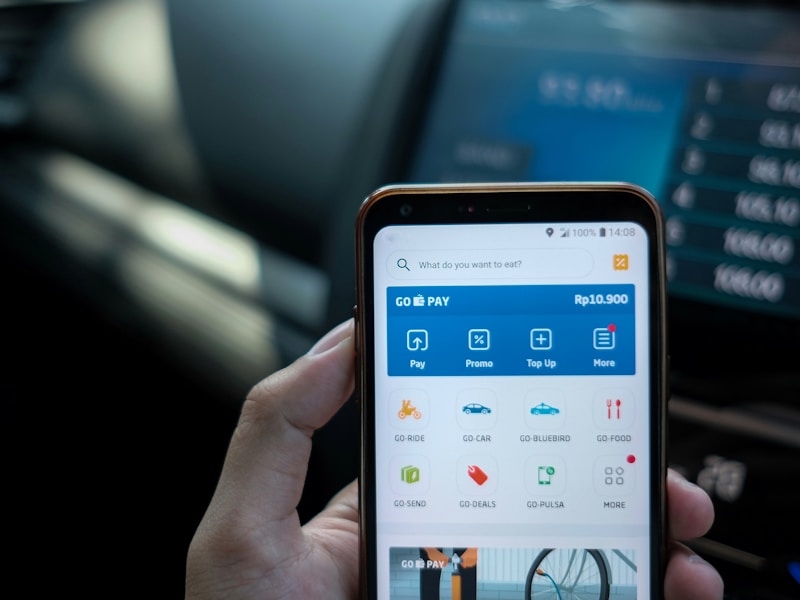个人档案查询App手机界面截图