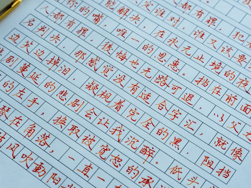 个人档案查询流程步骤图