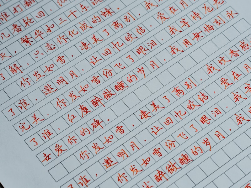 个人档案考试成绩查询页面示例