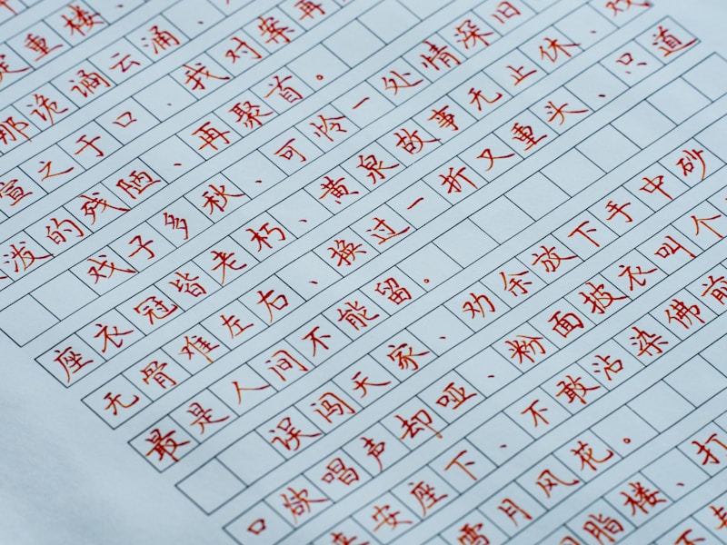 个人档案自己查询步骤示意图