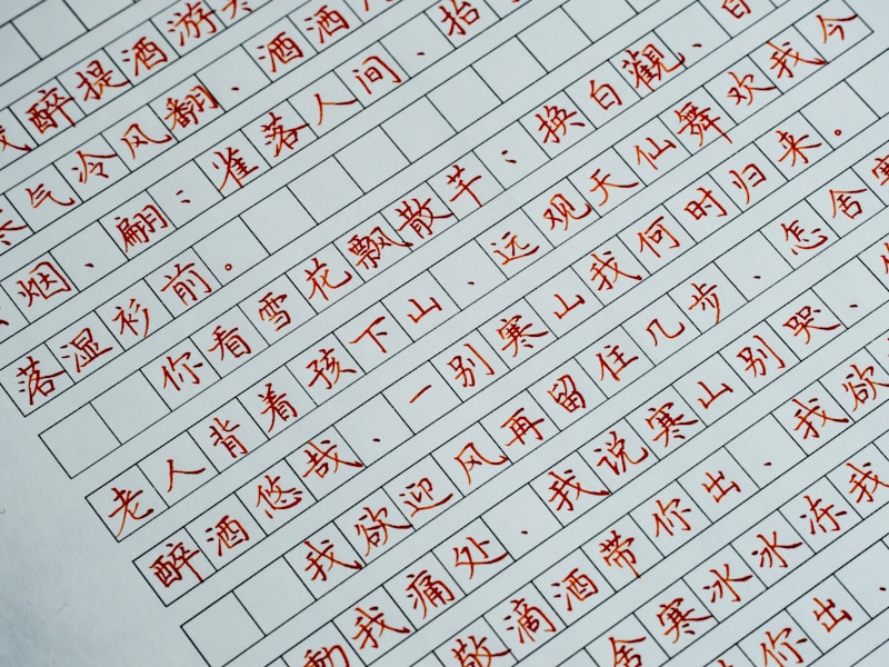 医院个人档案查询流程示意图