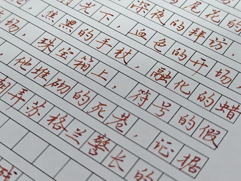 厦门个人档案查询流程图