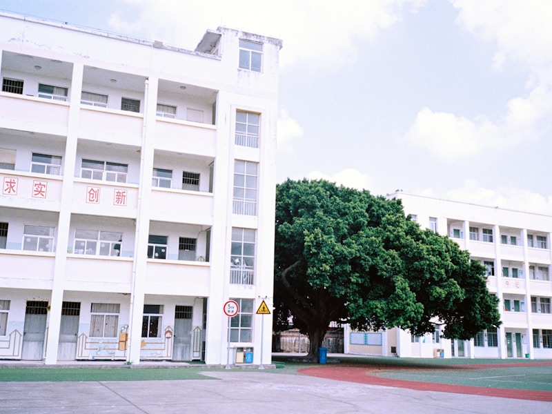 学生登录学校门户网站查看入学档案状态