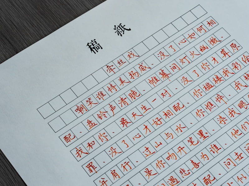 宁夏个人档案查询流程图