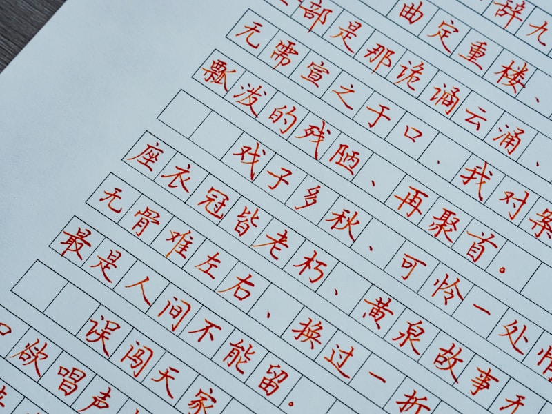 庆阳个人档案查询线上平台界面