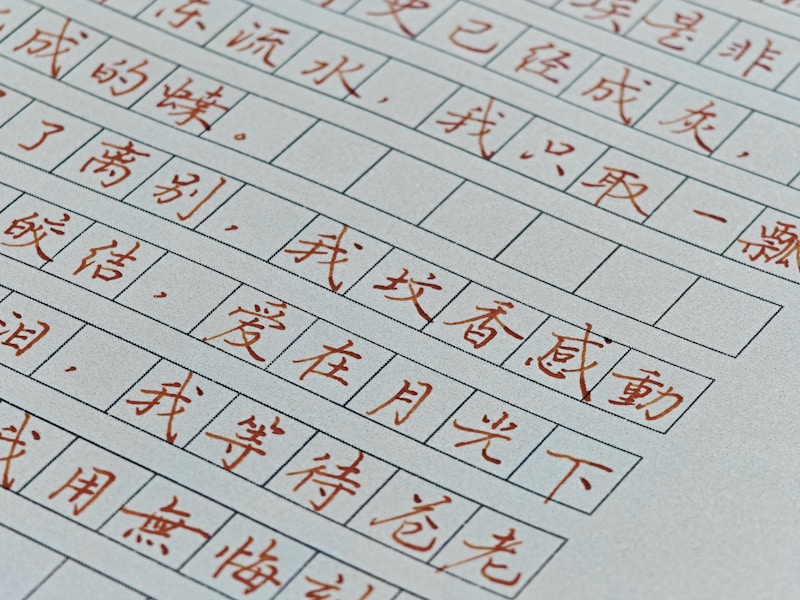 延安个人档案查询流程示意图