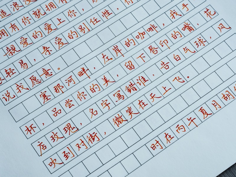 文山个人档案查询流程示意图