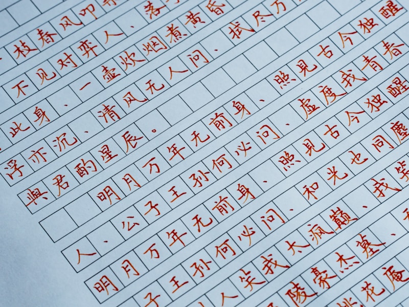 新昌个人档案查询流程示意图