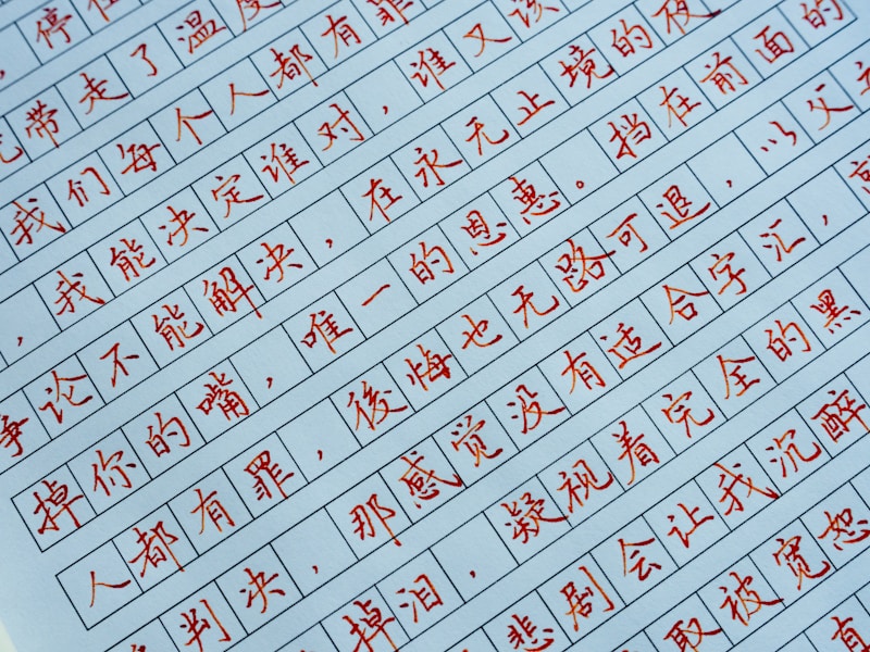 查询个人档案规定的流程图