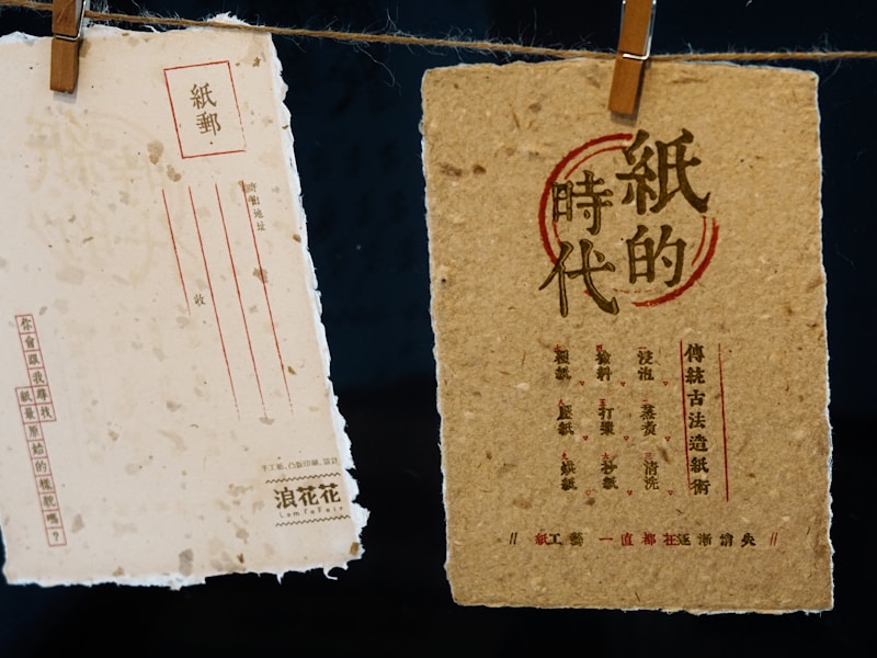 桐城个人档案查询流程示意图