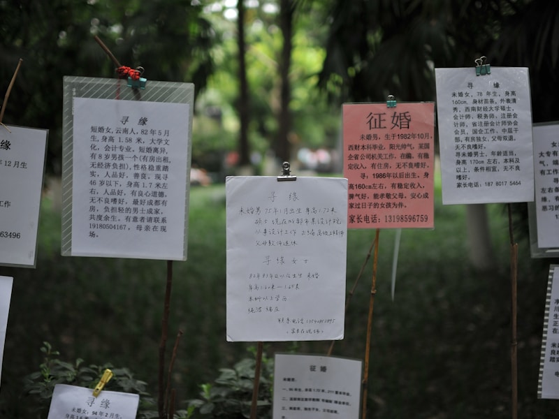 福山个人档案查询流程示意图