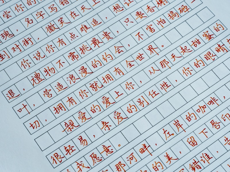 肥城个人档案查询线上操作界面
