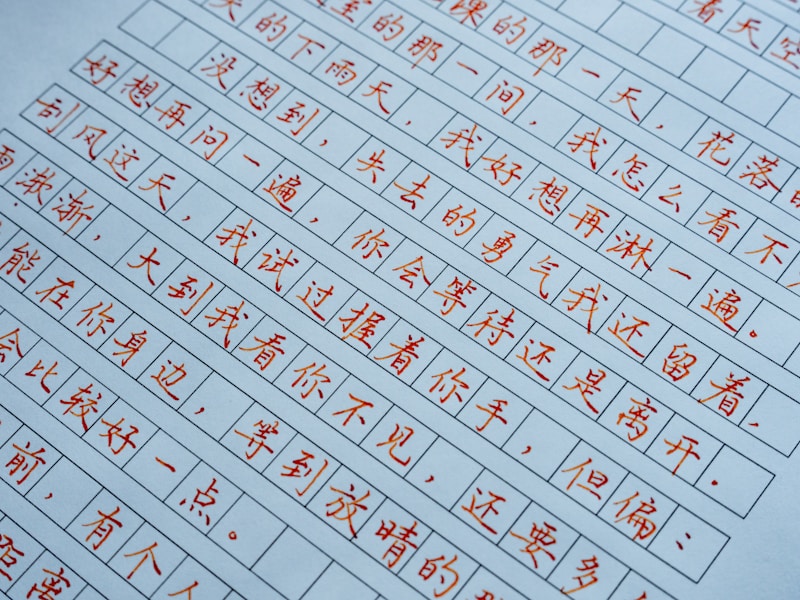 舟山个人档案查询线上浙里办操作界面