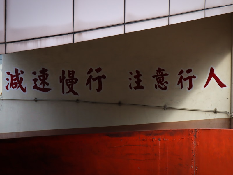 茂名查询个人档案的线上查询界面截图