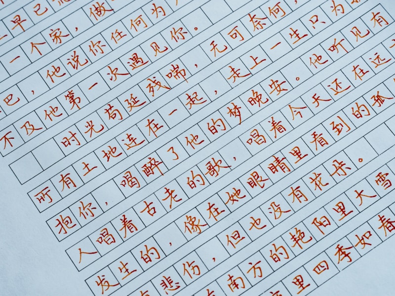 莱西个人档案查询流程图