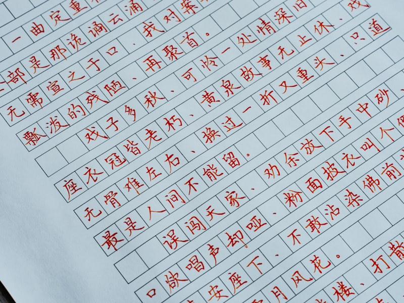 诸城个人档案查询流程图