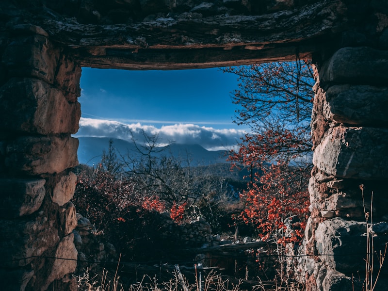 铜山个人档案查询窗口