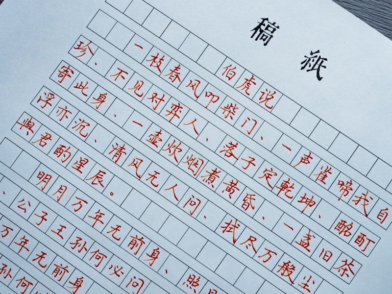 银川个人档案查询流程示意图