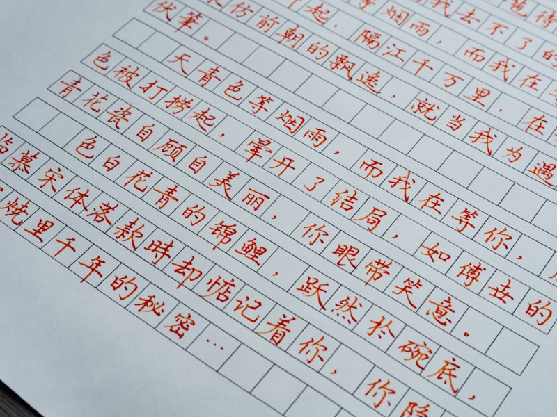 阳新个人档案查询流程图