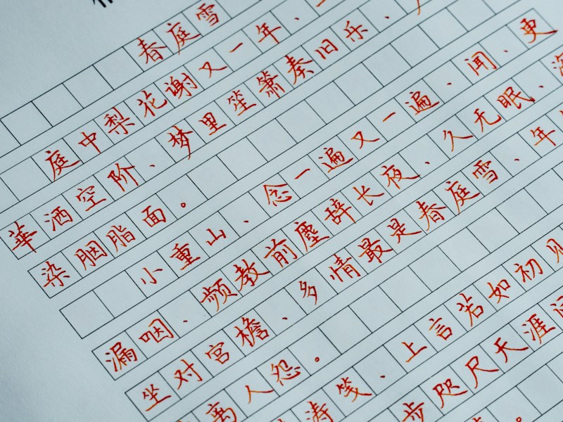 南康个人档案查询流程图:从打电话到现场办理的步骤