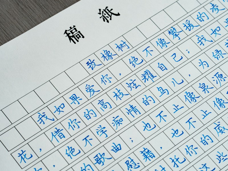 安阳个人档案查询流程示意图