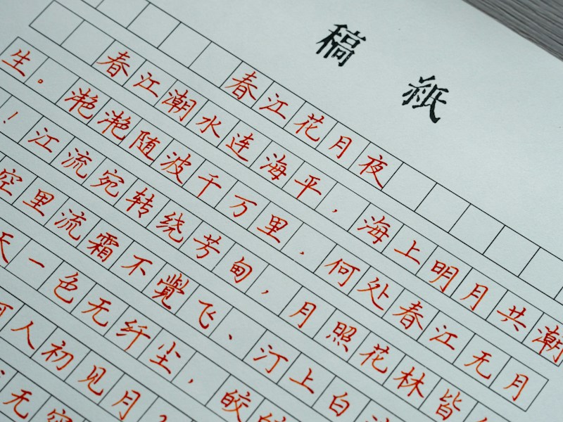 崇明个人档案查询线上操作示意图