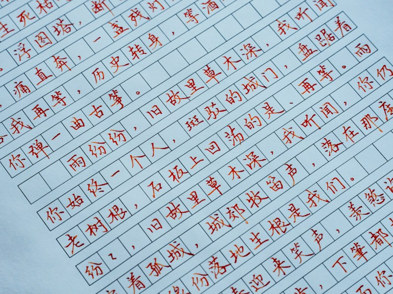 新乐个人档案查询步骤示意图