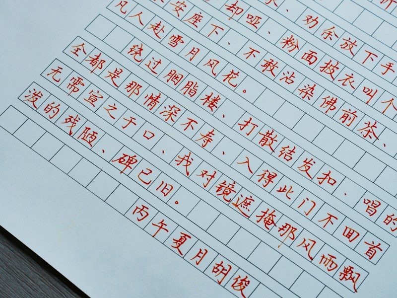 个人档案查询新闻：2025年美国居民查询个人记录的步骤示意图
