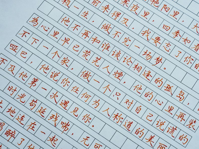个人档案查询调动流程图
