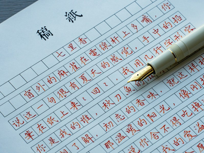 个人档案账号查询步骤示意图