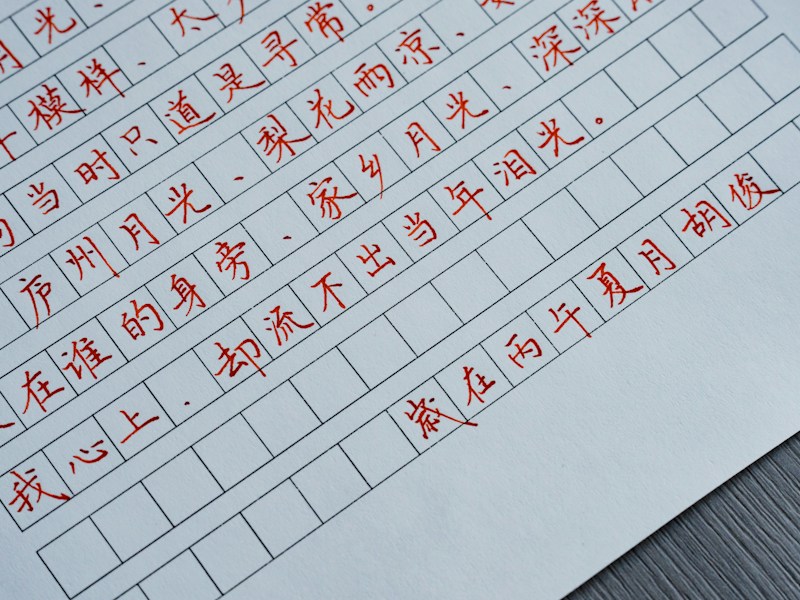 北安个人档案查询步骤示意图