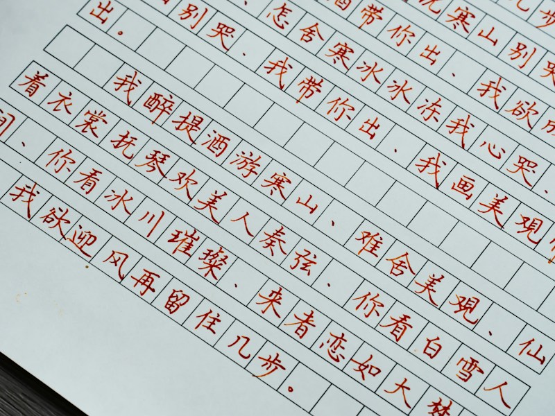 系统个人档案查询步骤示意图