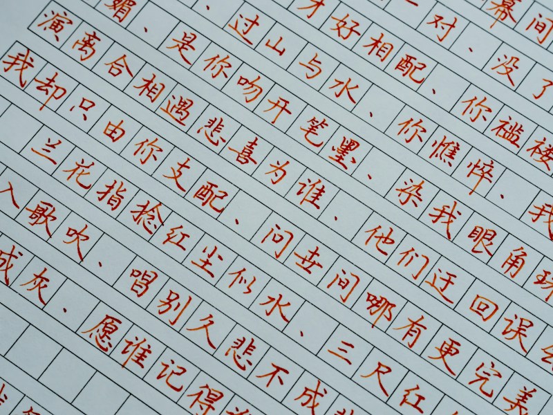葛洲坝个人档案查询流程图